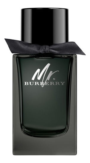 Mr. Burberry Eau de Parfum: парфюмерная вода 100мл уценка фото 1