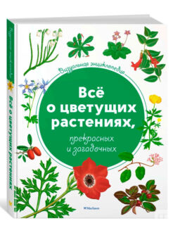 Книга АЗБУКА АТТИКУС 2347608