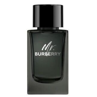 BURBERRY Mr. Burberry Eau de Parfum, Парфюмерная вода, спрей 150 мл