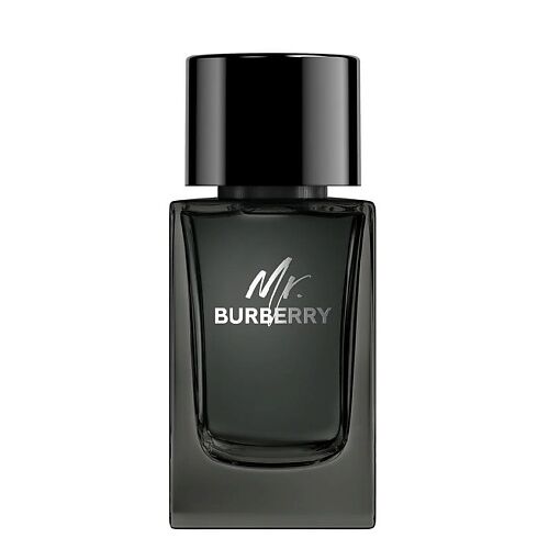 BURBERRY Mr. Burberry Eau de Parfum, Парфюмерная вода, спрей 100 мл